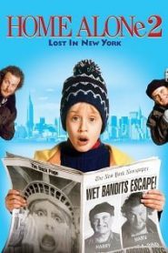 Home Alone 2 Lost in New York (1992) โดดเดี่ยวผู้น่ารัก ภาค 2 ตอน หลงในนิวยอร์ค