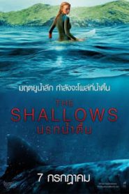 The Shallows (2016) นรกน้ำตื้น