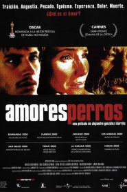 Amores Perros (2000) ความรักหมาๆ