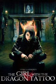 Millennium 1 The Girl With The Dragon Tattoo (2009) พยัคฆ์สาวรอยสักมังกร