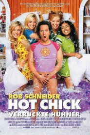 The Hot Chick (2002) ว๊าย ..สาวฮ็อตกลายเป็นนายเห่ย