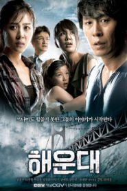 Tidal Wave (Haeundae) (2009) แฮอุนแด มหาวินาศมนุษยชาติ