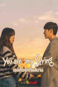 You Are My Spring (2021) เธอคือรักที่ผลิบาน