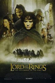The Lord of the Rings 1 (2001) อภินิหารแหวนครองพิภพ