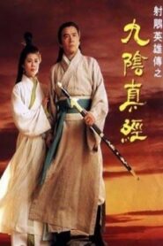 Mystery of the condor hero