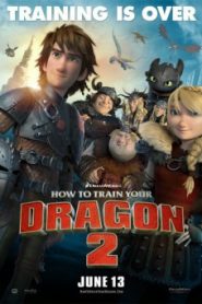 How to Train Your Dragon 2 อภินิหารไวกิ้งพิชิตมังกร 2