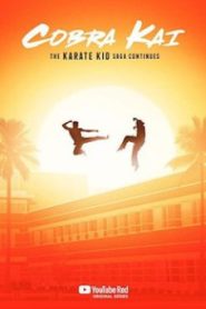 Cobra Kai Season 1